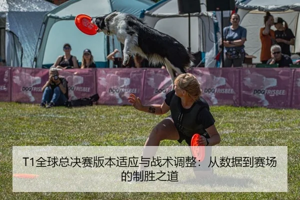 quan-qiu-zong-jue-sai-ban-ben-shi-ying-yu-zhan-shu-tiao-zheng-cong-shu-ju-dao-sai-chang-de-zhi-sheng-zhi-dao-2-225.jpg