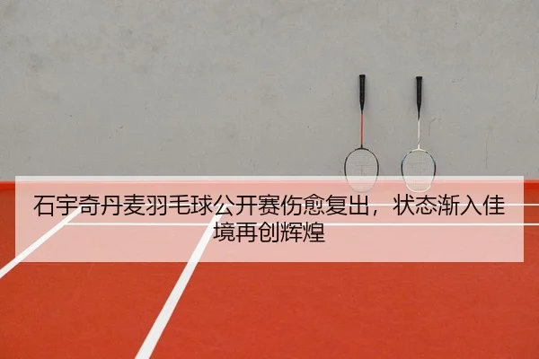 shi-yu-qi-dan-mai-yu-mao-qiu-gong-kai-sai-shang-yu-fu-chu-zhuang-tai-jian-ru-jia-jing-zai-chuang-hui-huang-2-962.jpg